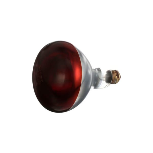 Allpoints 381133 Infra-Red Lamp (Red)120V, 250W